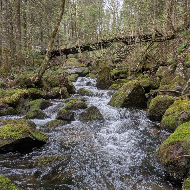 PXL_20250519_194138704